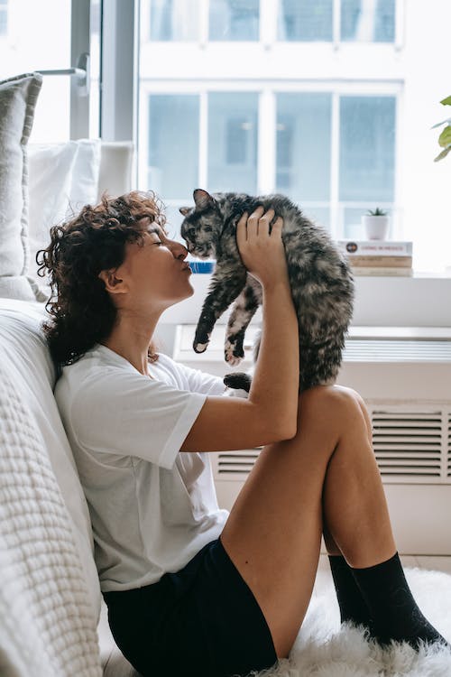 Pet Owner 2